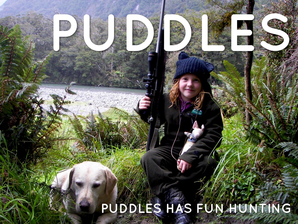 Puddles Hunting In Haast