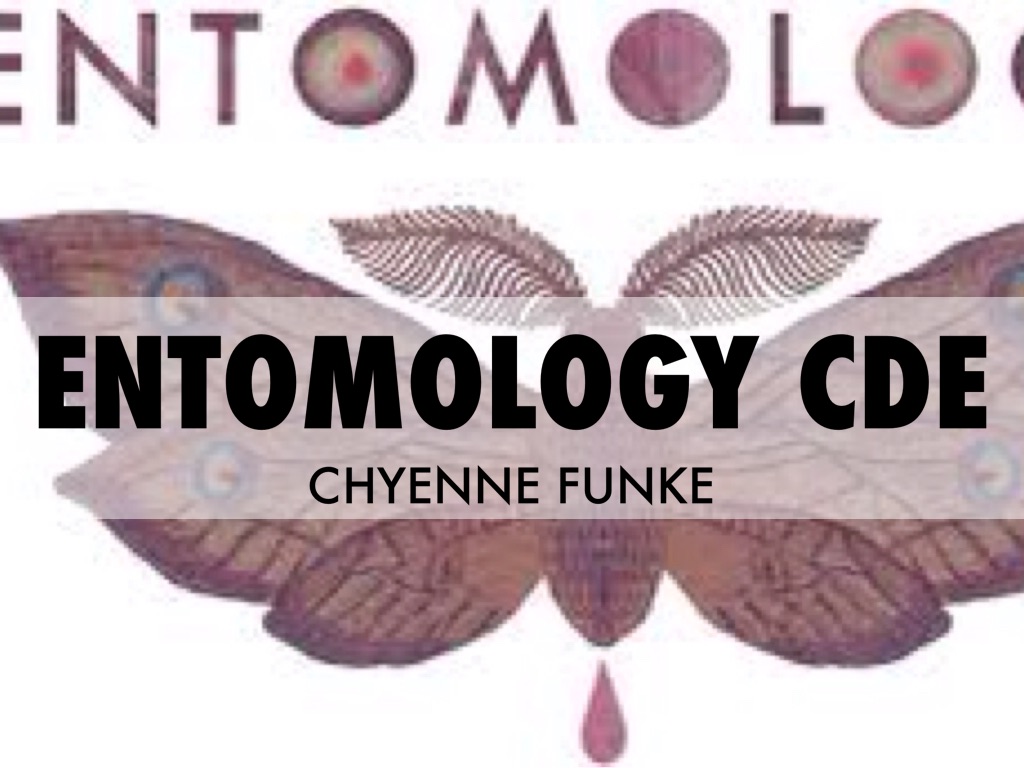 entomology