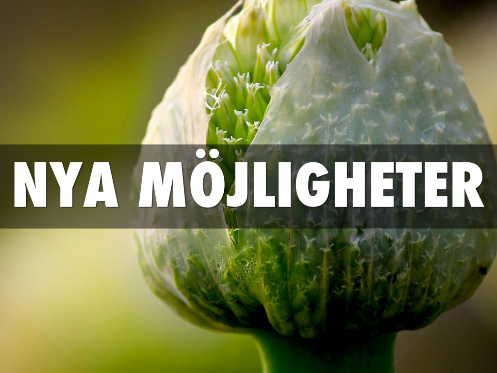 Copy of Social Video