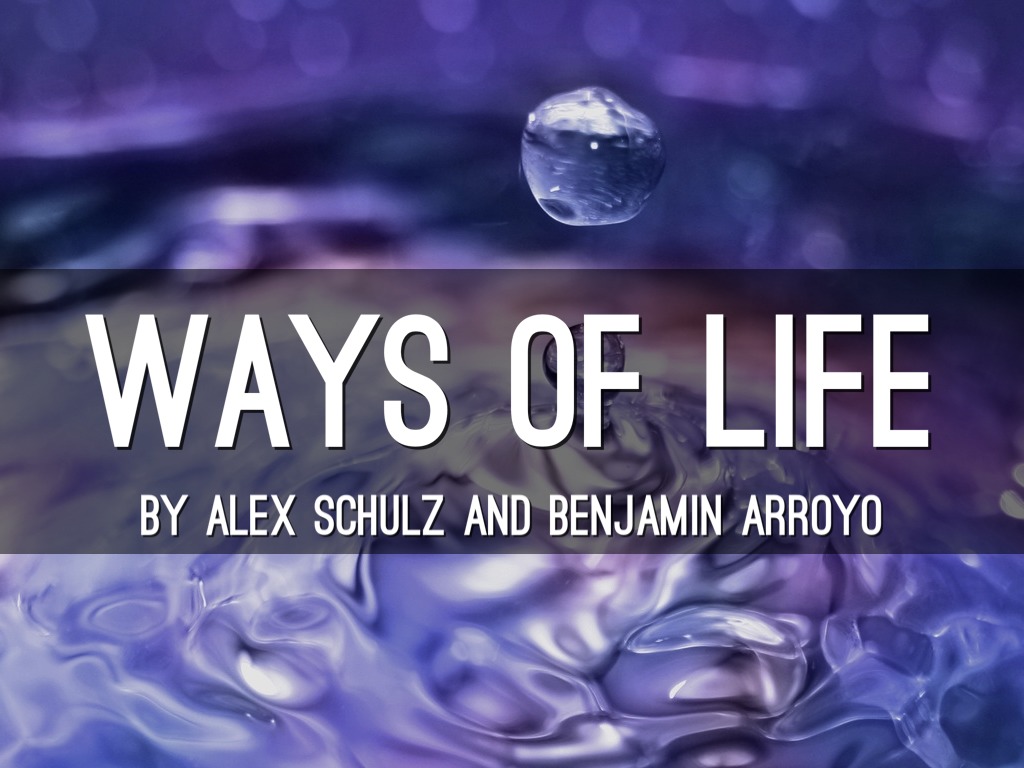 Alex And Ben Project