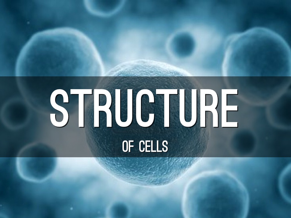 Structure Of Cells