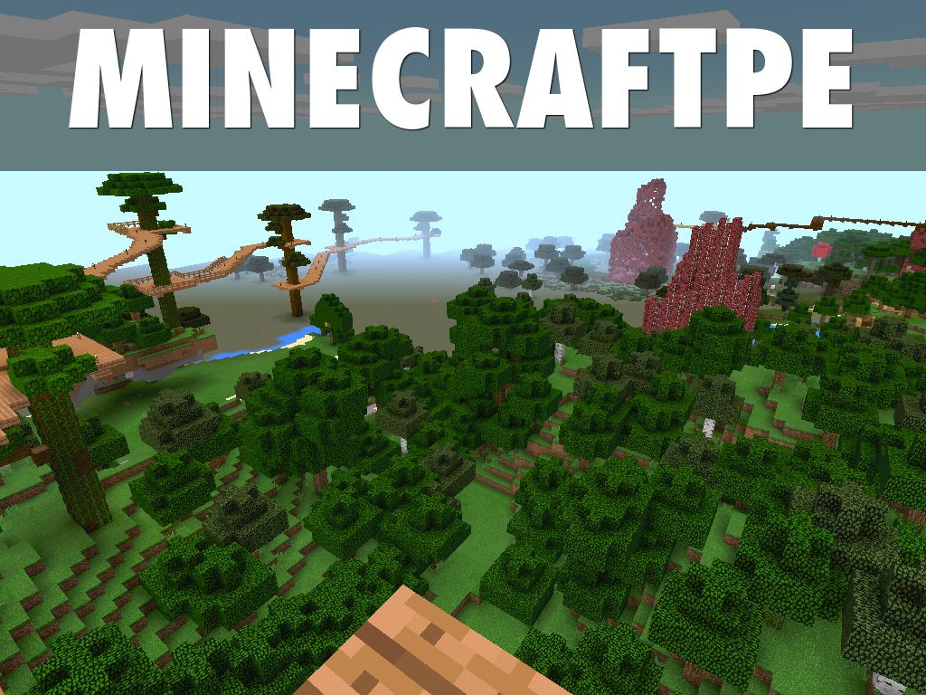 Mine craft