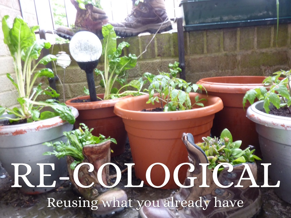 Re-cological
