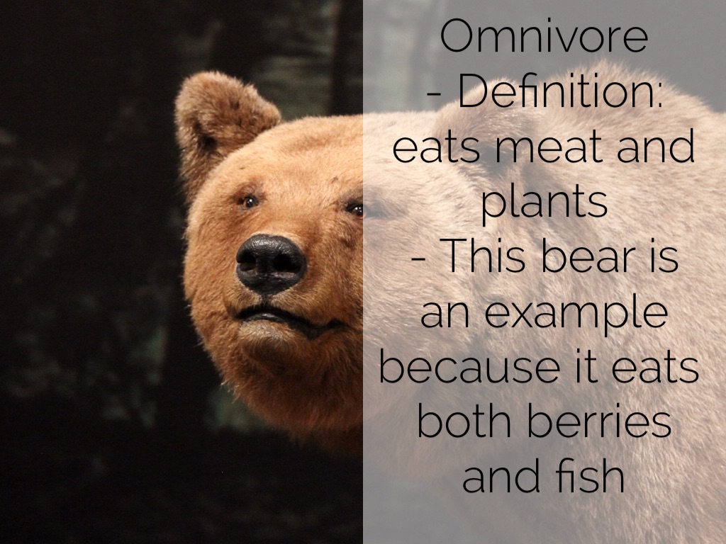 Science 33 & 34 by Zorina Anderson