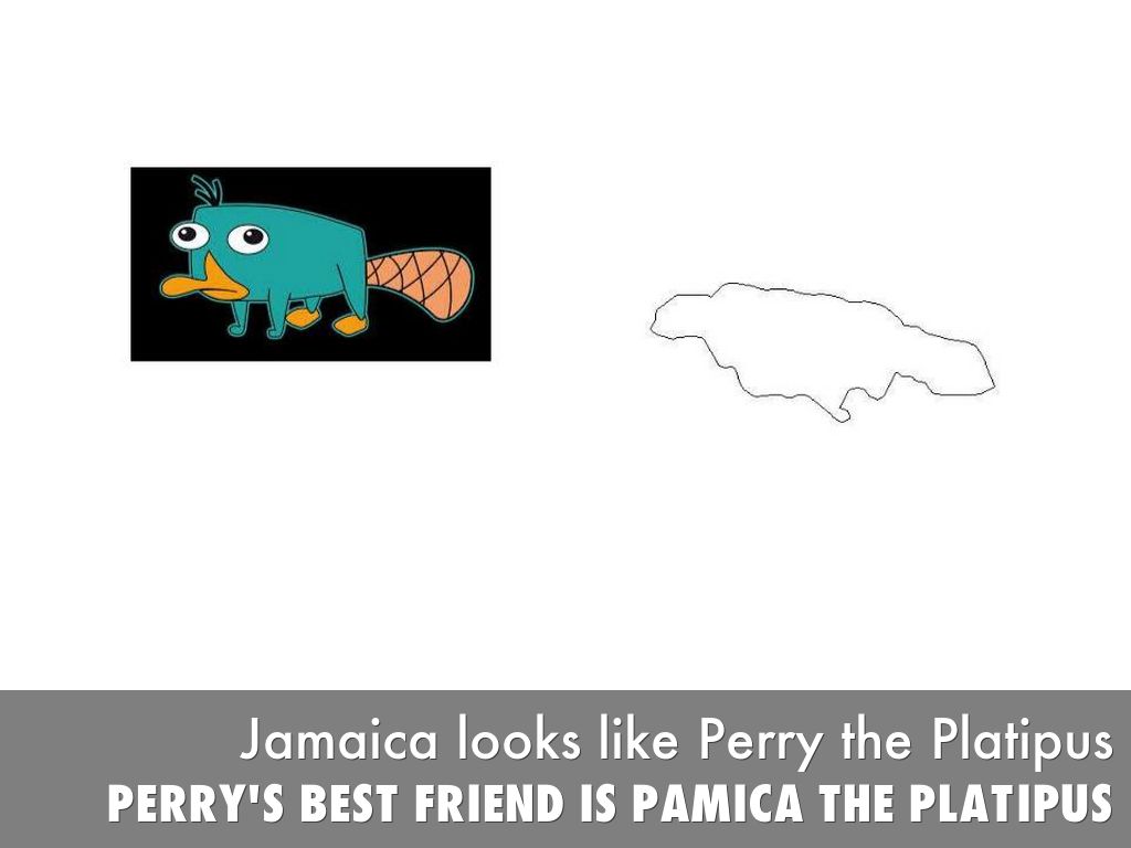 Elijah Simmons Tricks for Latin America