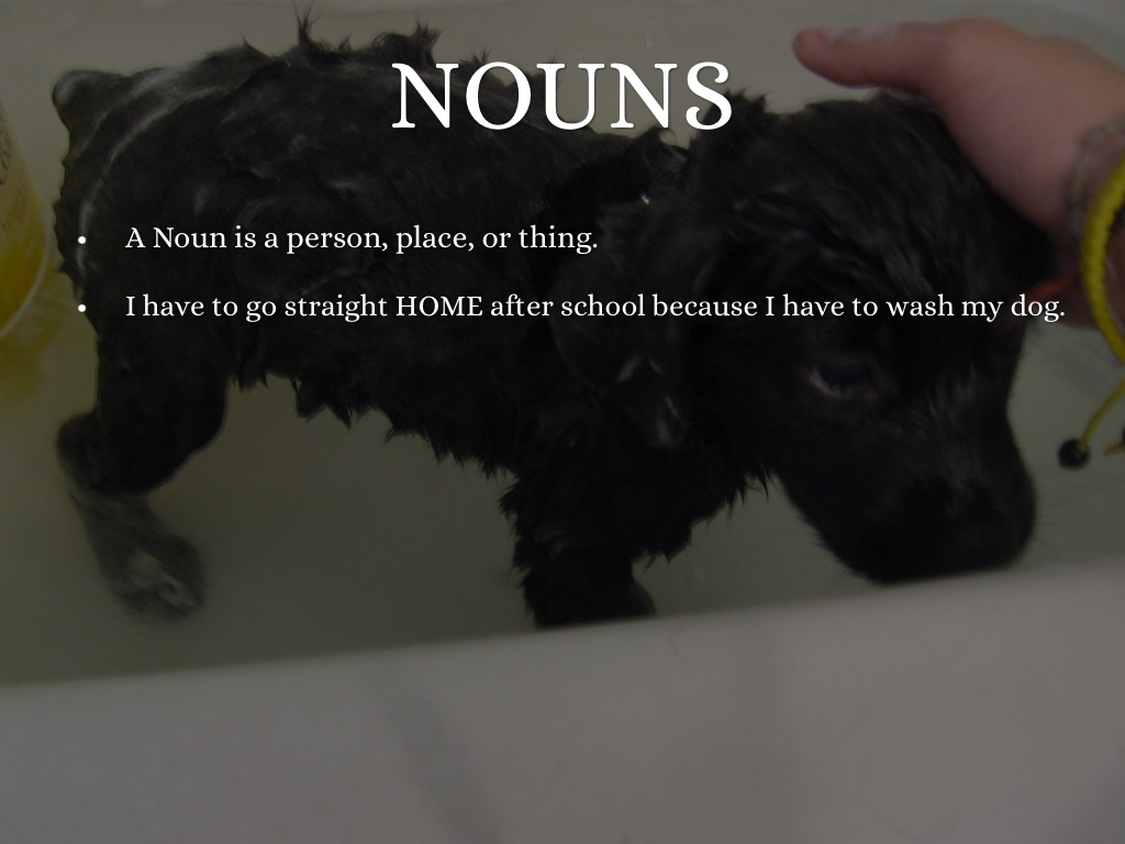 Worksheet Is A Dog A Person Place Or Thing parts of speech by samantha agbay 3