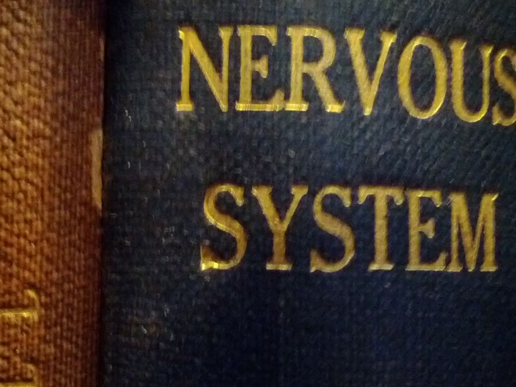 Nervous System