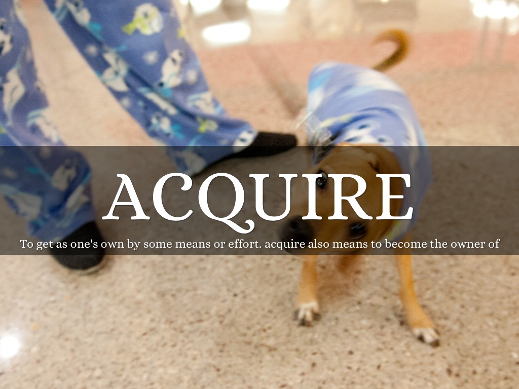 Quarter 1 Vocabulary