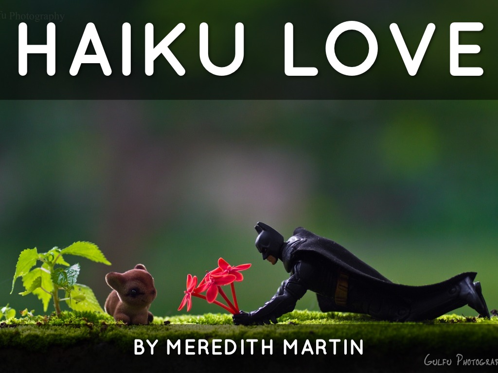 My Haiku Story