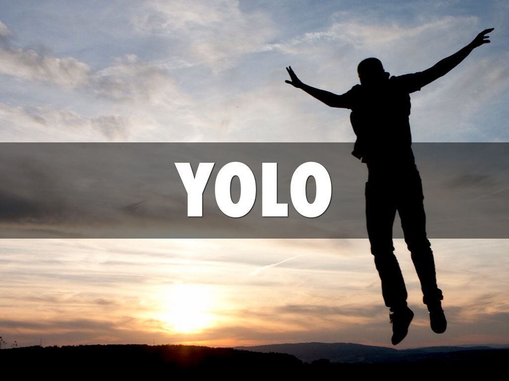 YOLO by Anna Biggs