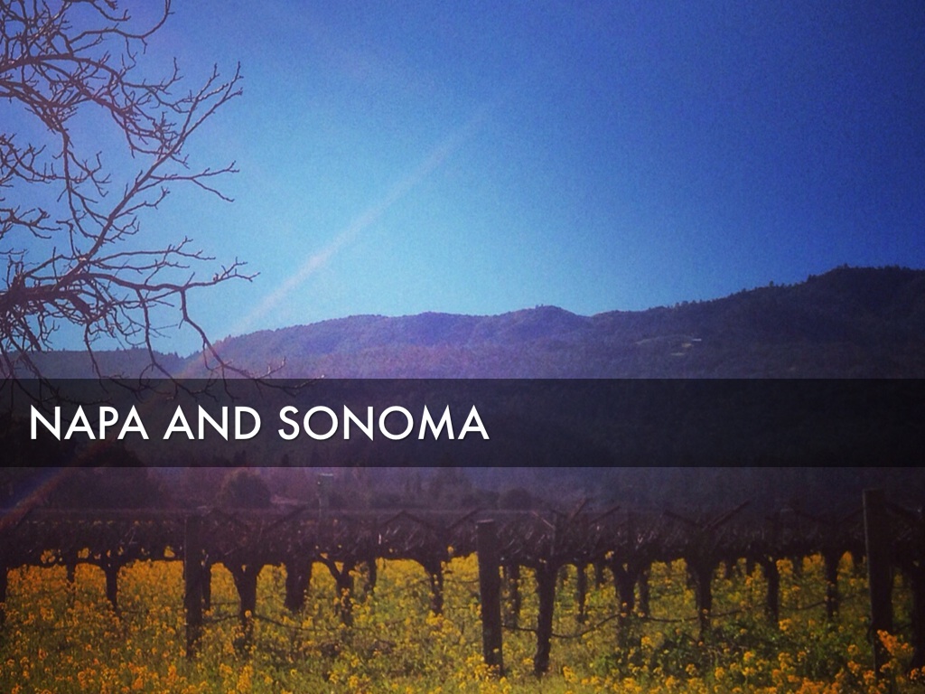 Napa And Sonoma Valley