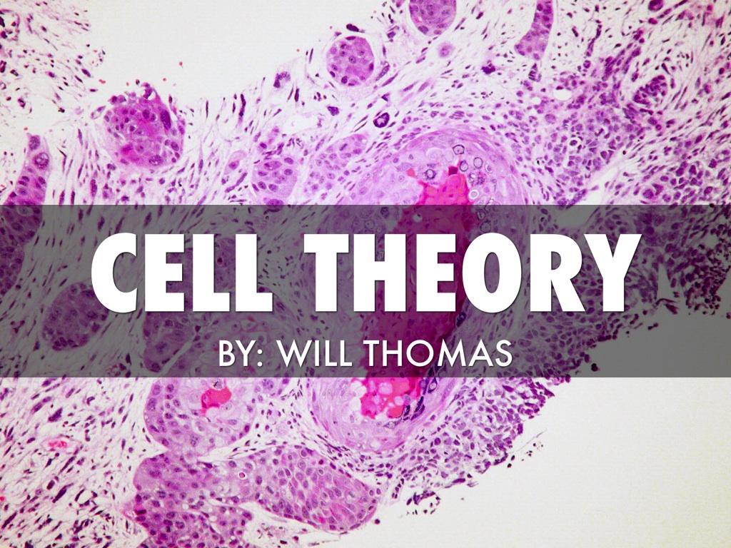 Cell Theory