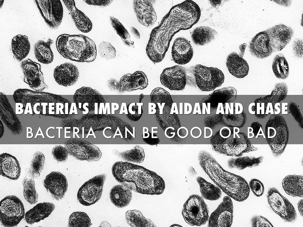 Bacteria's Impact 