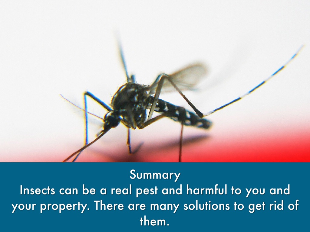 insects that may be harmful for insects that may be harmful for