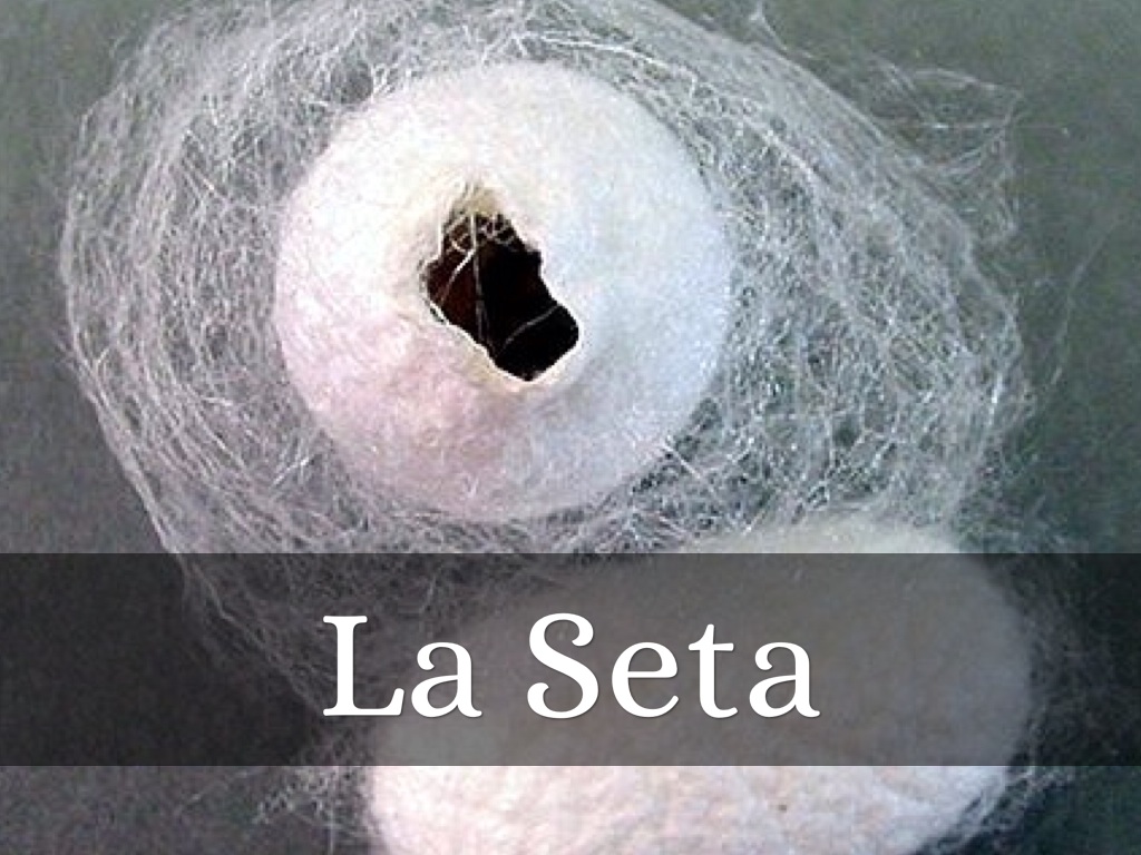 La Seta