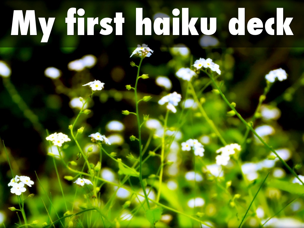 My First Haiku Deckk