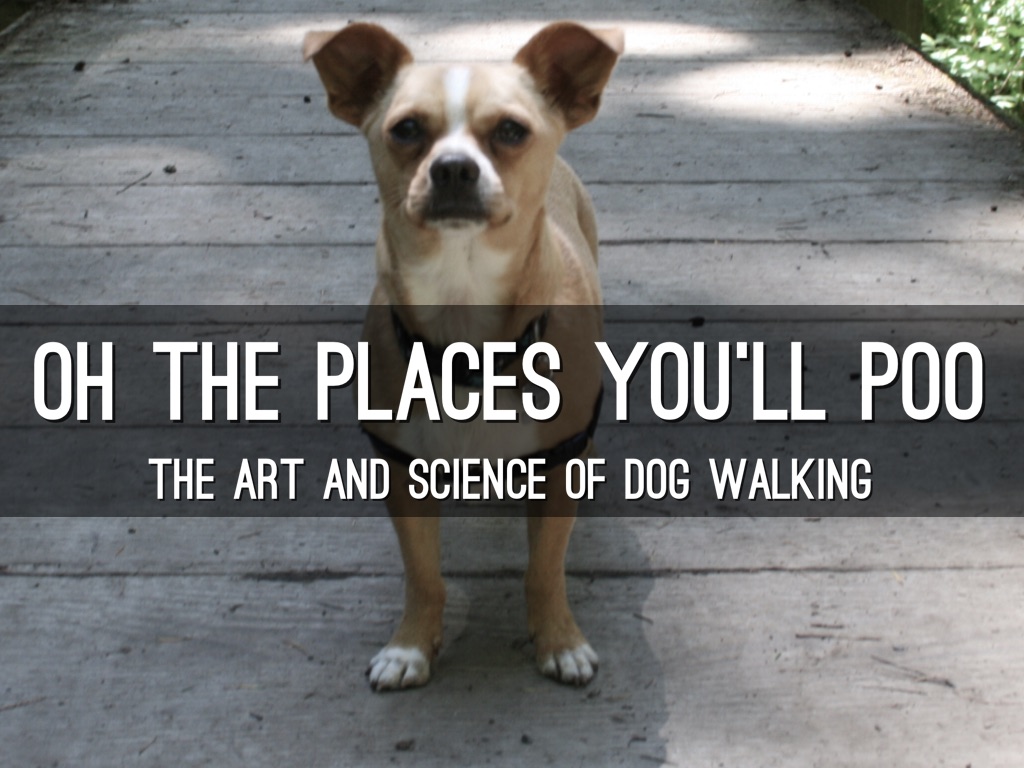 Oh The Places You'll Poo