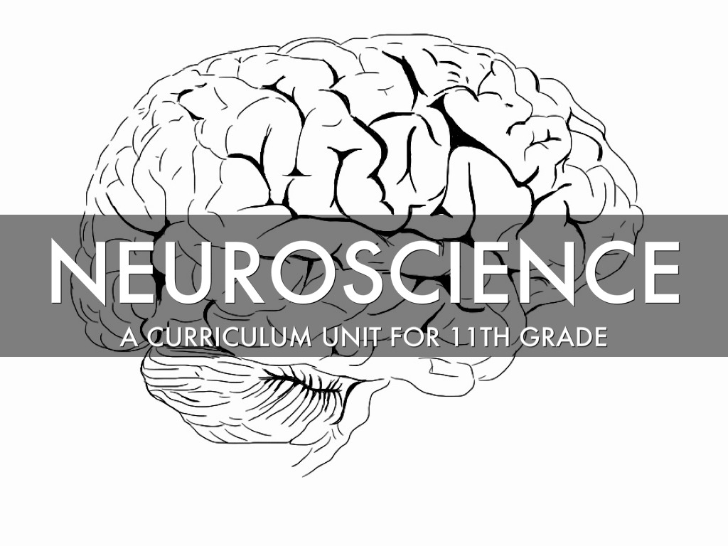 Neuroscience 