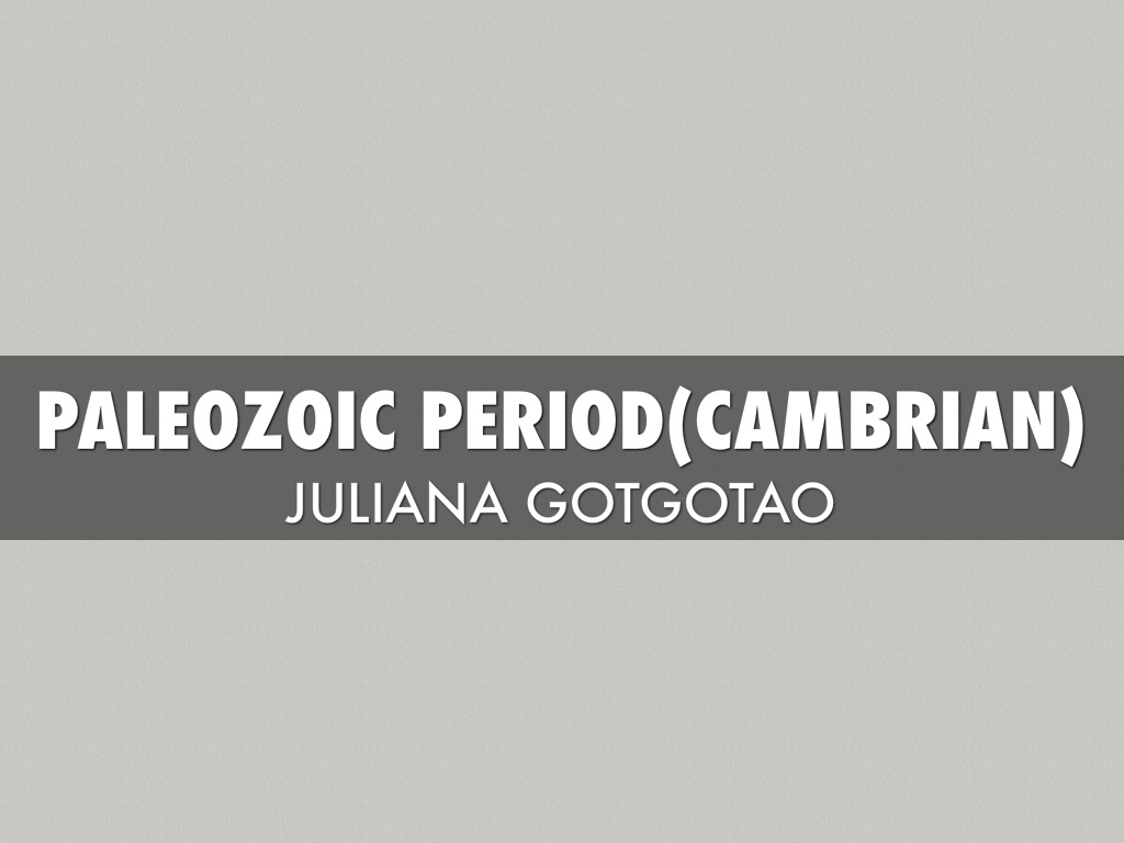 Paleozoic Period