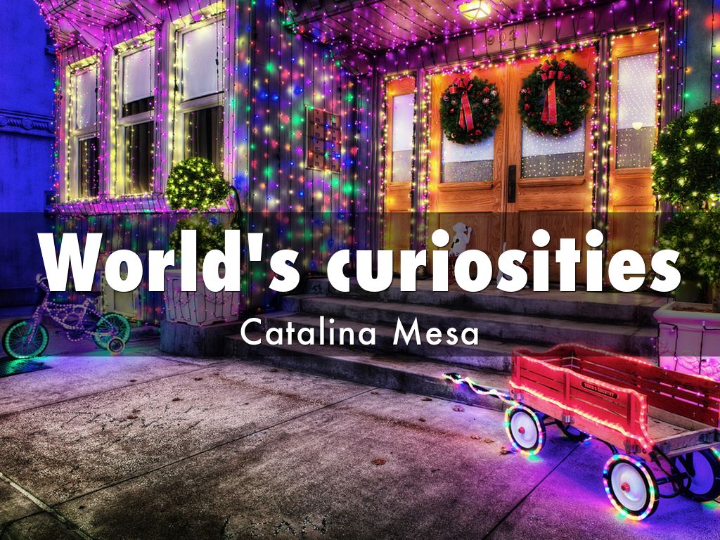 World's curiosities