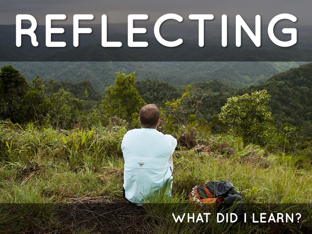 Hailey Fletcher Distracted Driving by Ale M