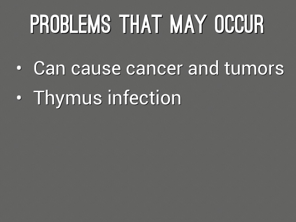 Thymus Gland by Nicole Anderson