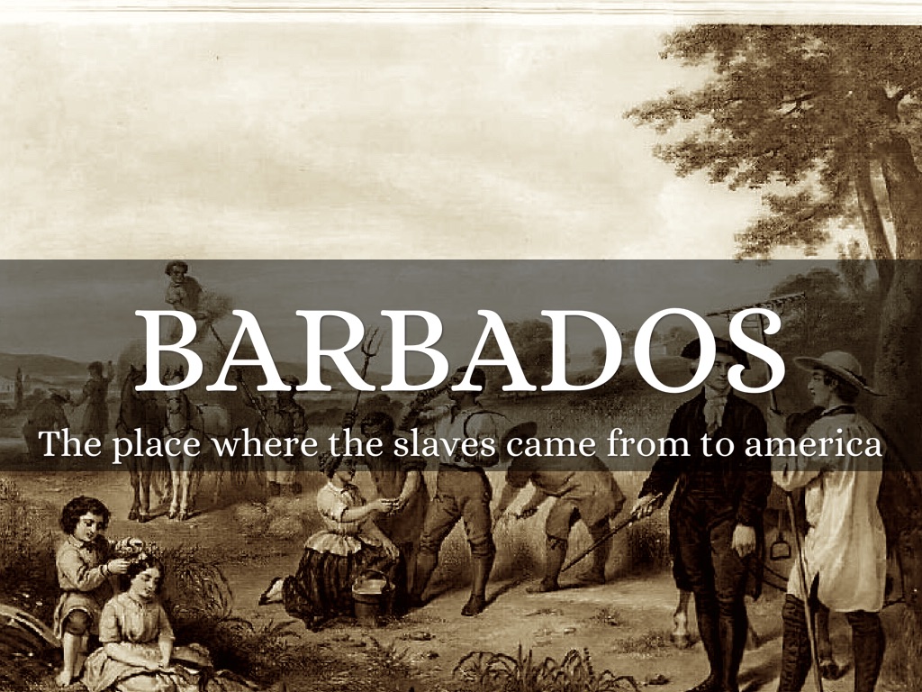 Social Studies Review 13 by Antonio Pinzon