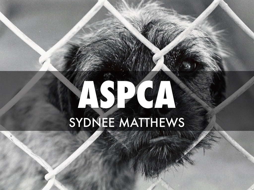 ASPCA