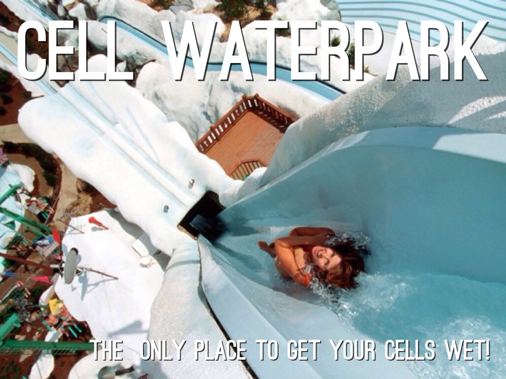 Cell Brochure: Cell Waterpark