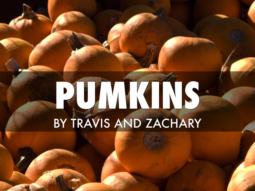 Pumpkins