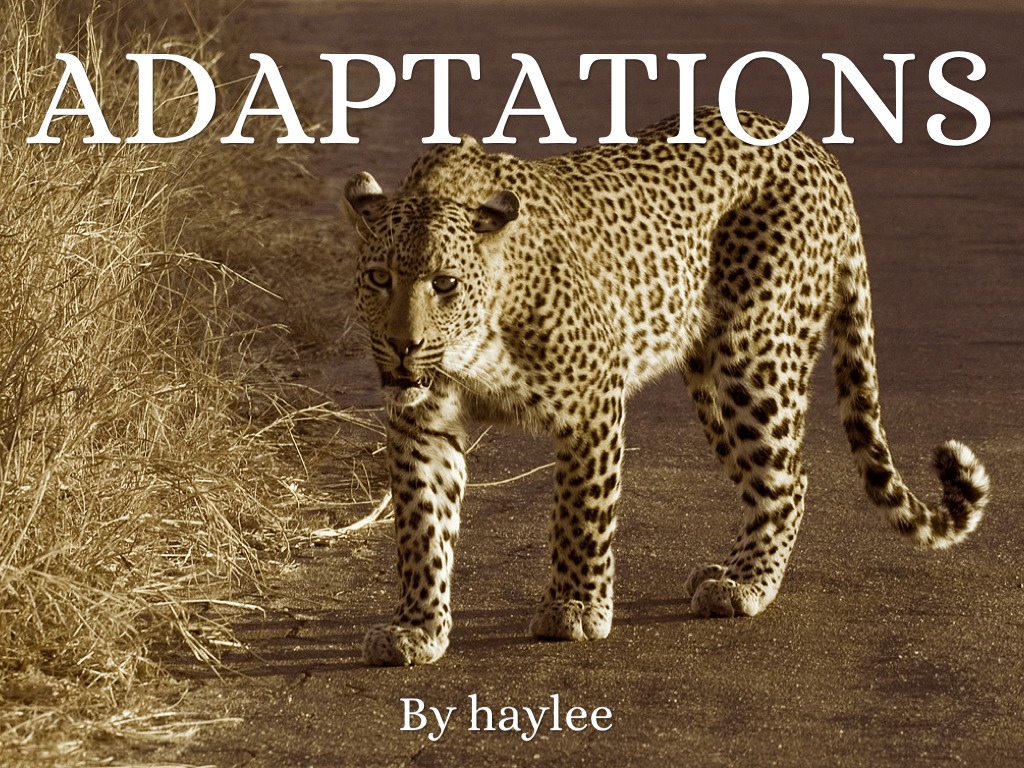 Adaptations by SJE 4th Grade Cart