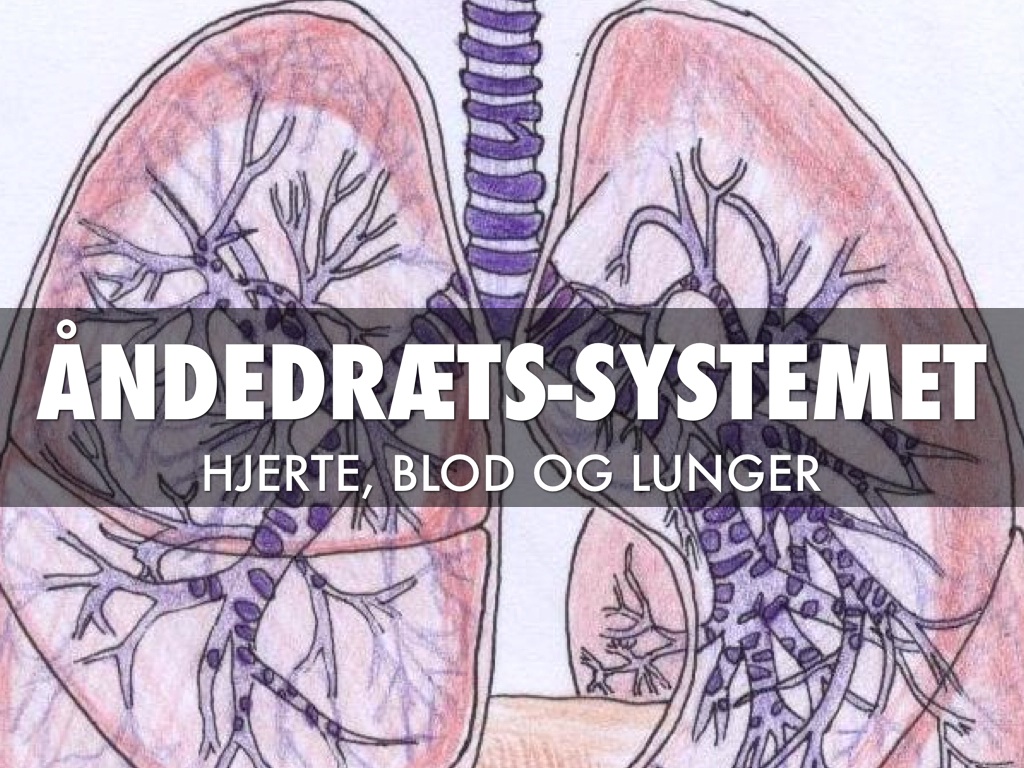 Åndedræts-systemet
