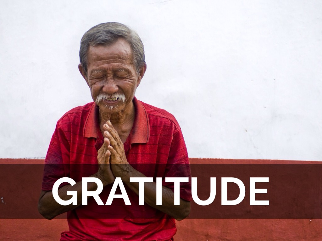 Gratitude 