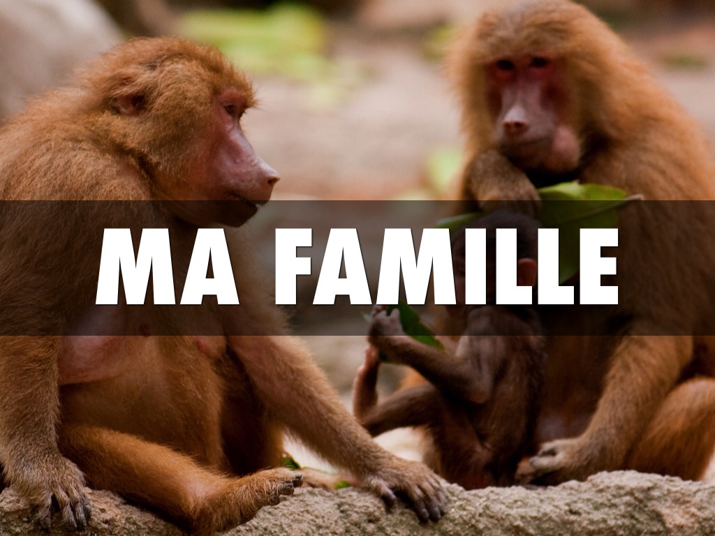 Ma Famille