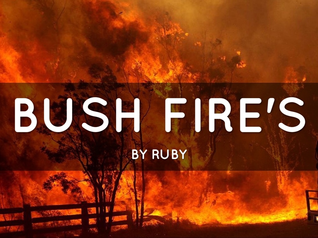 Bush Fires 