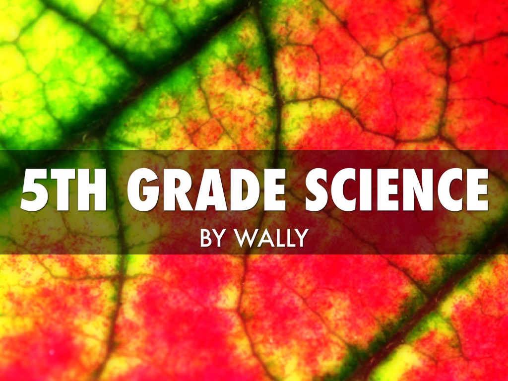 5th Grade Science