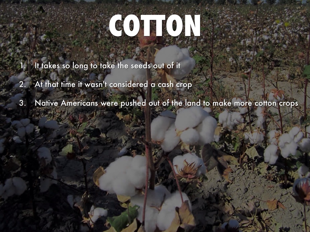Title the railroad and the cotton gin by Jimmy Finnigan