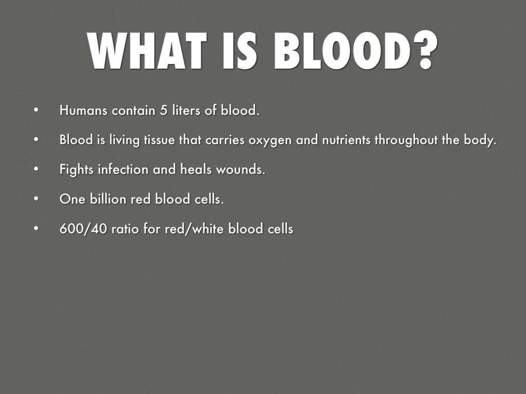 Chapter 11 Study Guide by Rachel Gruebbel