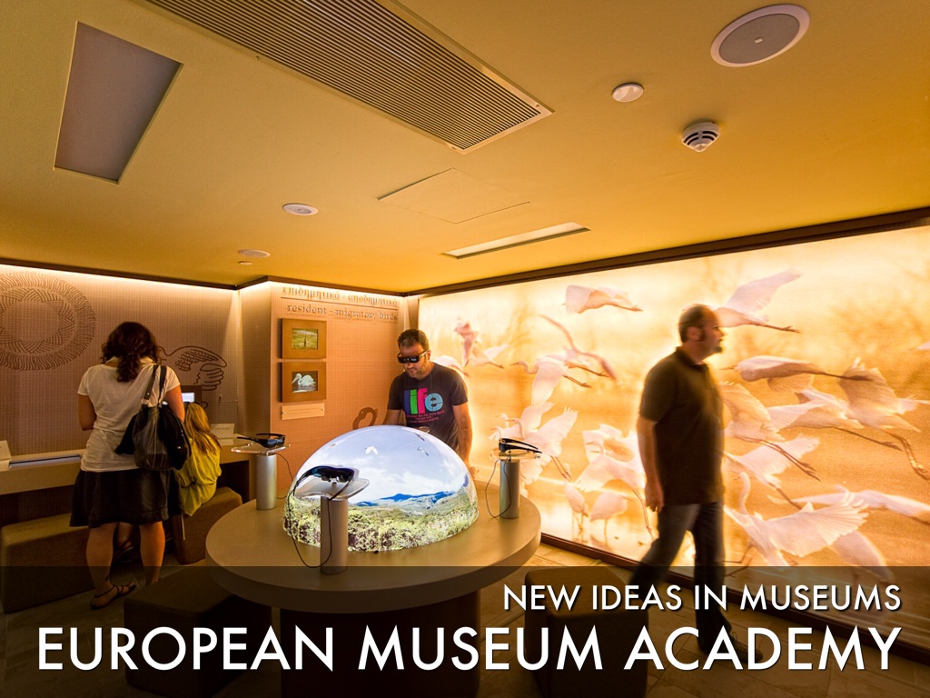 European Museum Academy