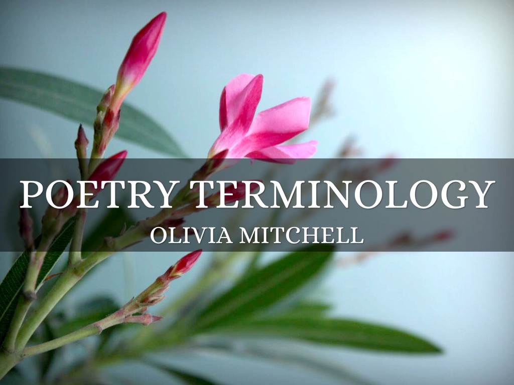 Poetry Terms