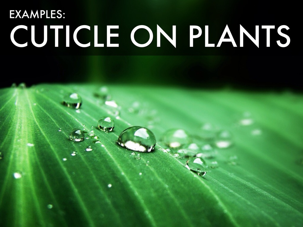 Micromolecules by Emily Harris