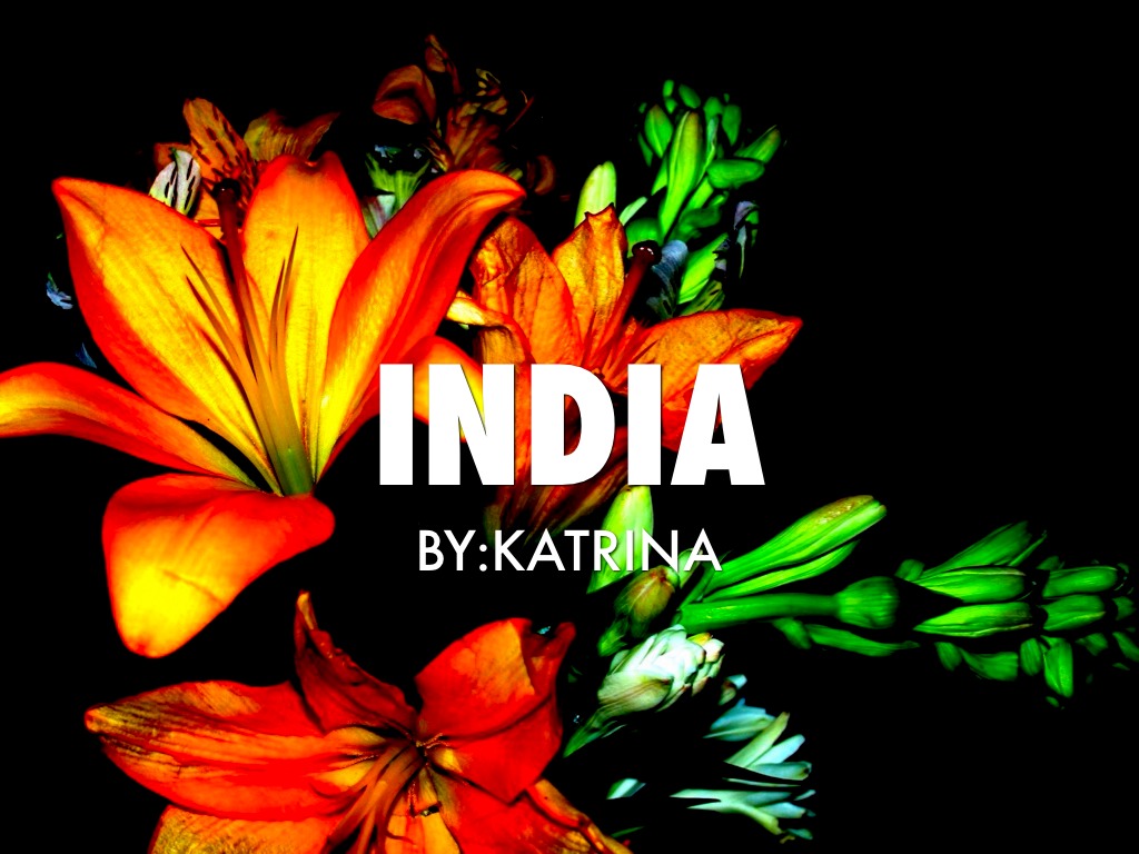 India  By:  Katrina