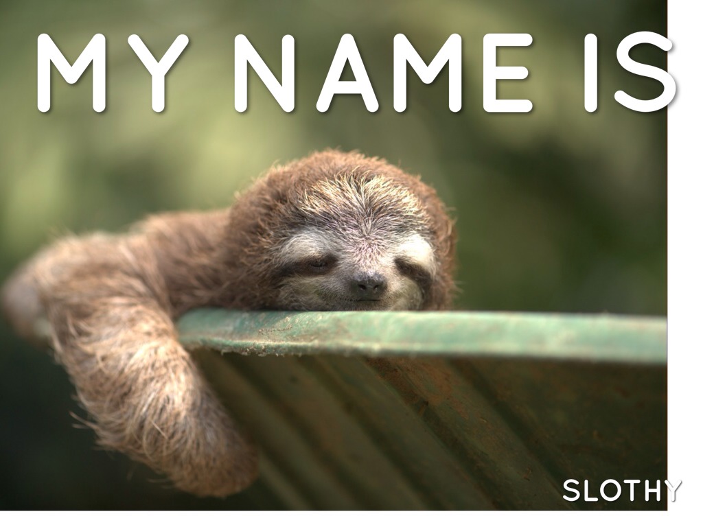 Sloth