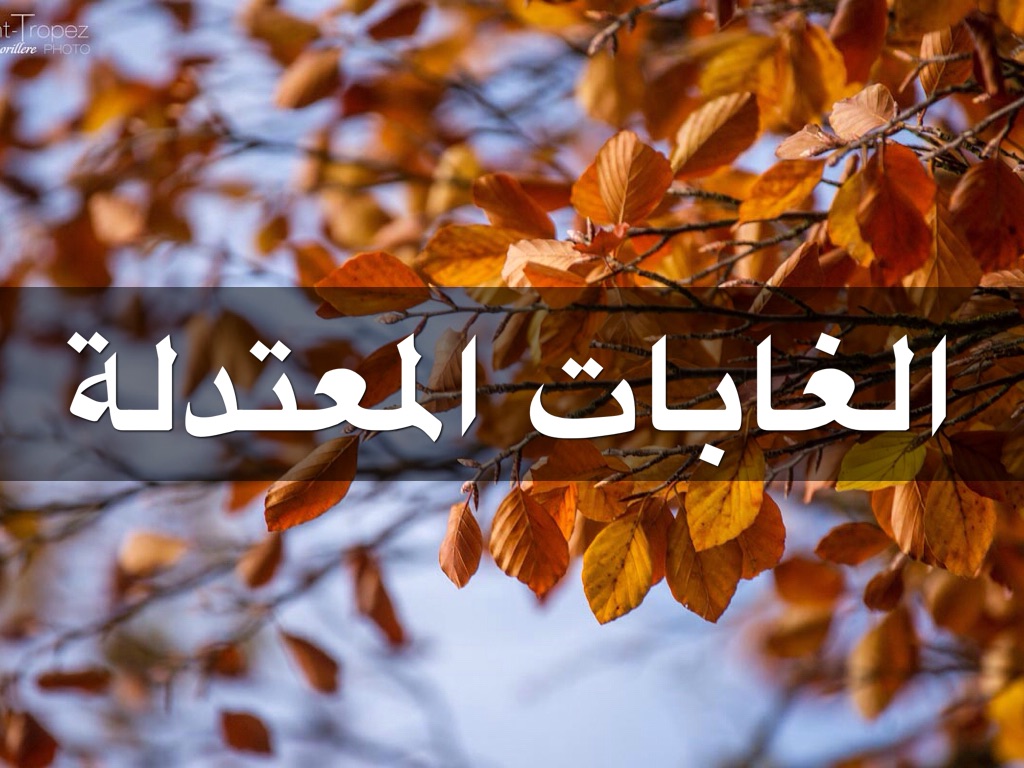 الاحياء