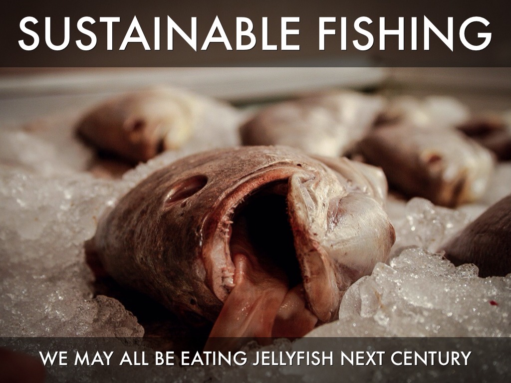 Sustainable Fishing