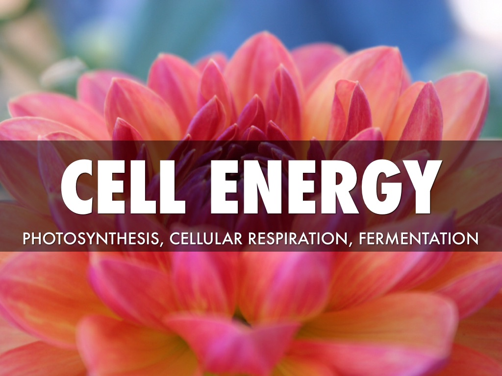 Cell Energy