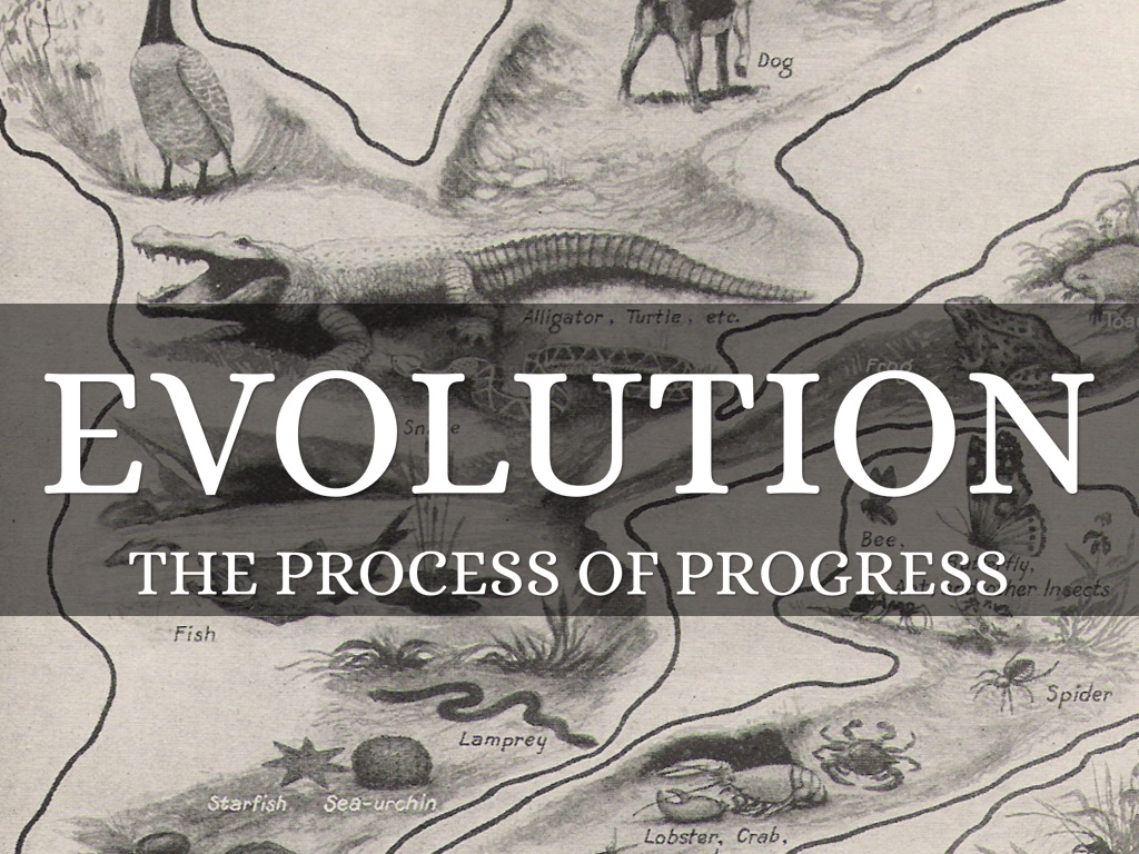 Evolution