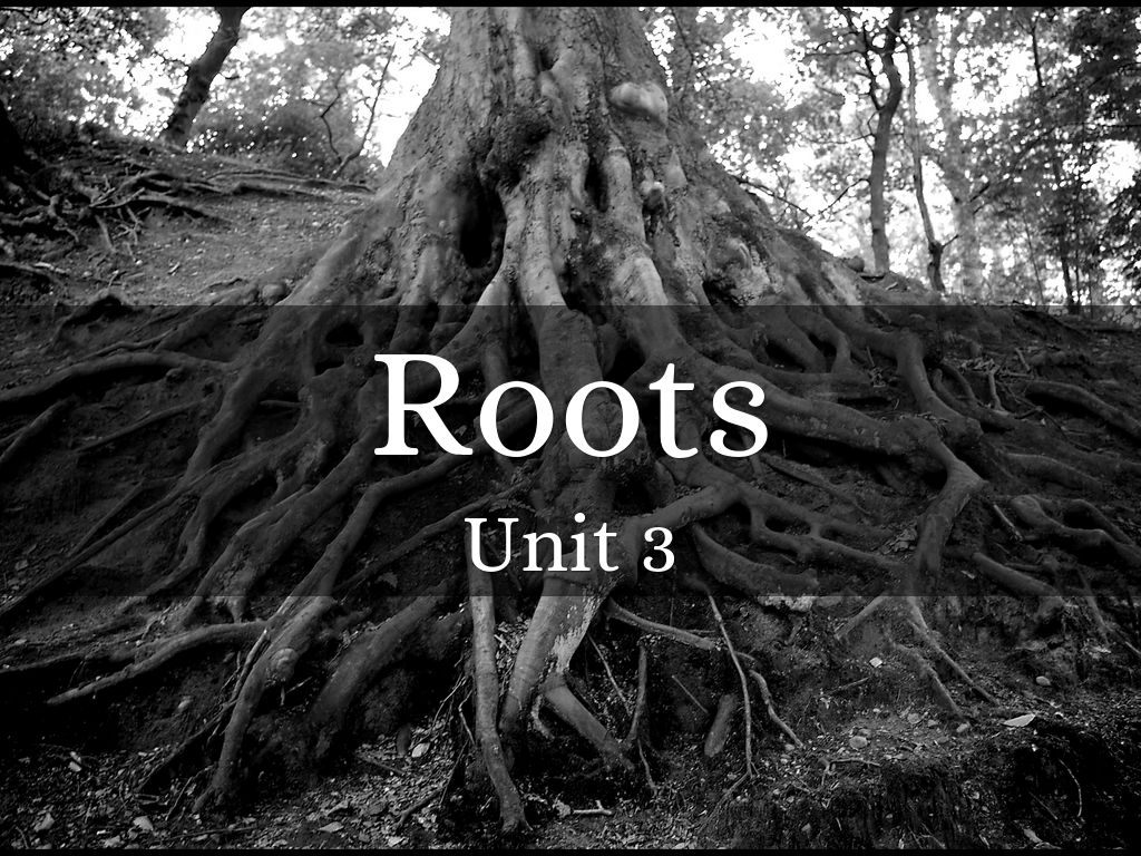 Root Words: Unit 3