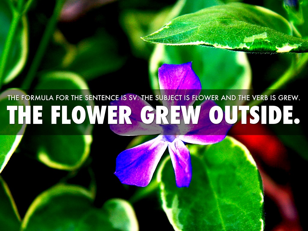 Simple Sentences by Janessa Akers