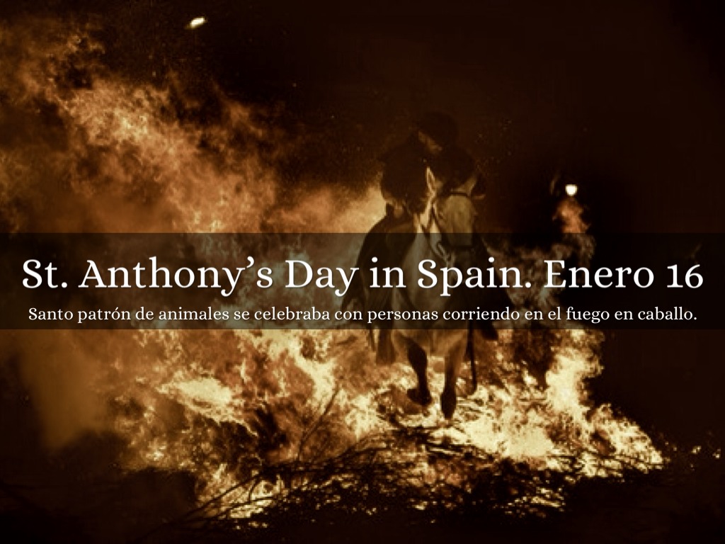 St. Anthony’s Day in Spain